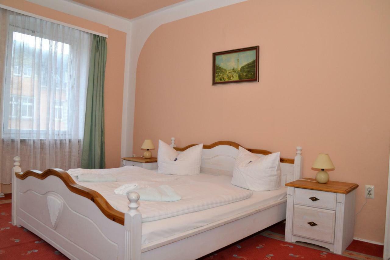 Hotel Central Bad Elster Zewnętrze zdjęcie